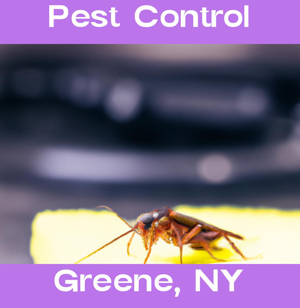 pest control in Greene New York
