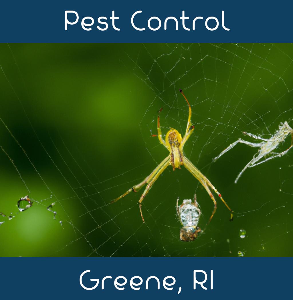 pest control in Greene Rhode Island