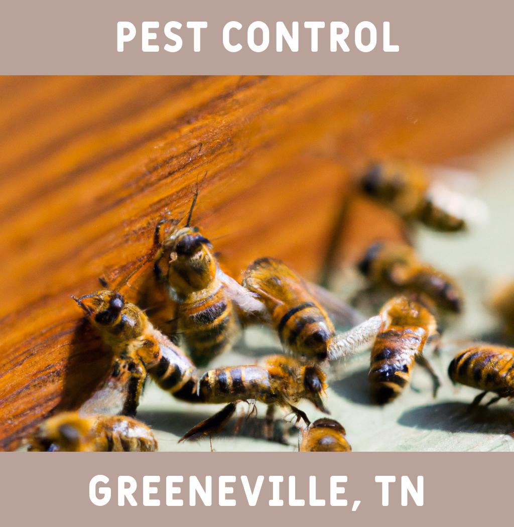 pest control in Greeneville Tennessee
