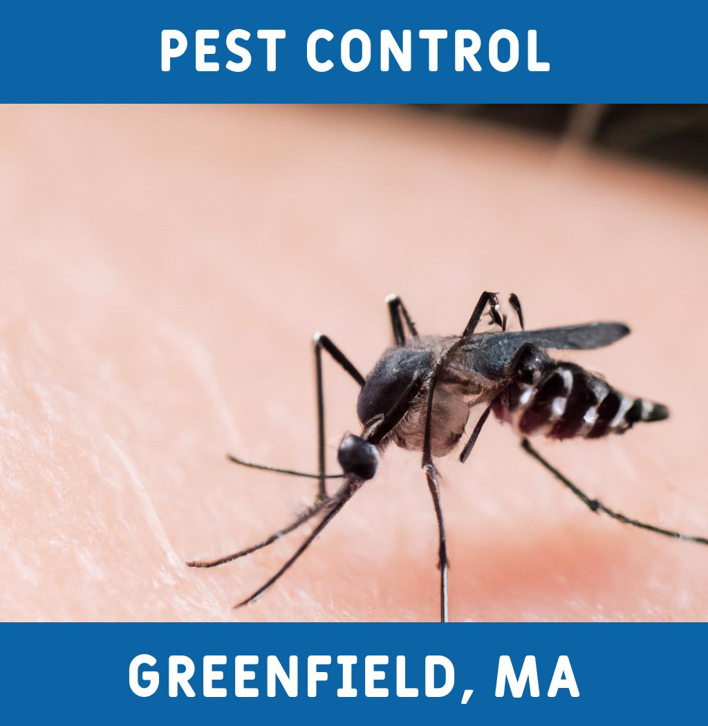 pest control in Greenfield Massachusetts