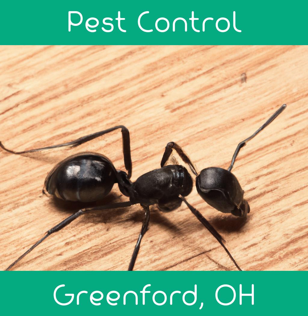 pest control in Greenford Ohio