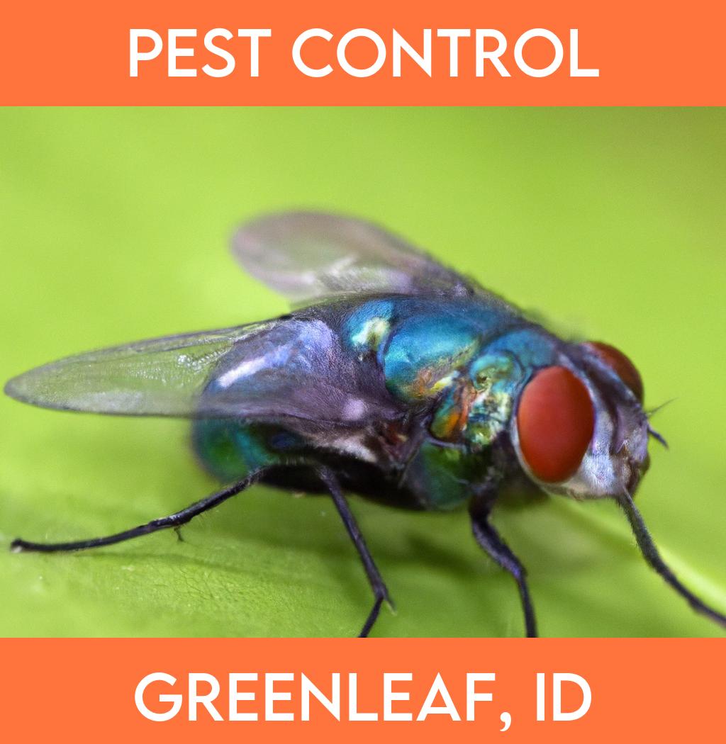 pest control in Greenleaf Idaho