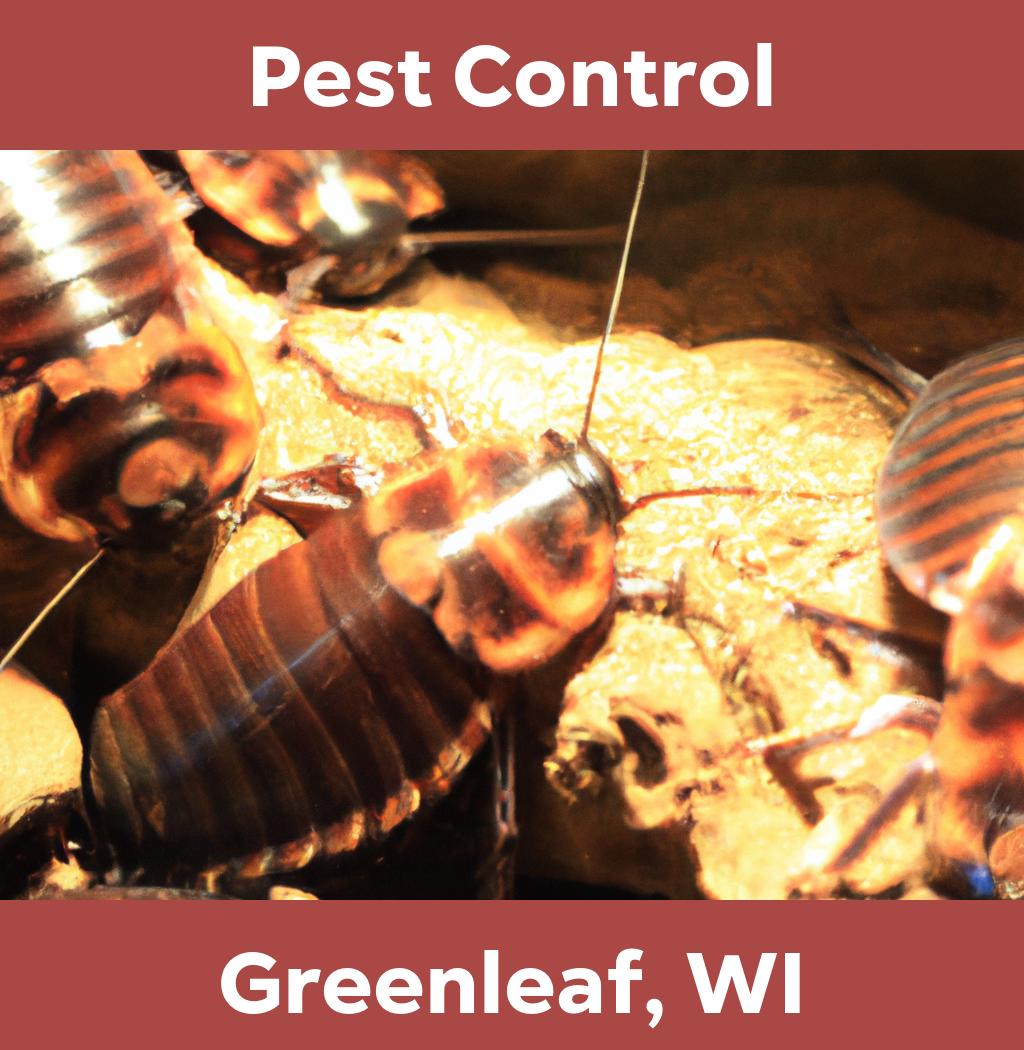 pest control in Greenleaf Wisconsin