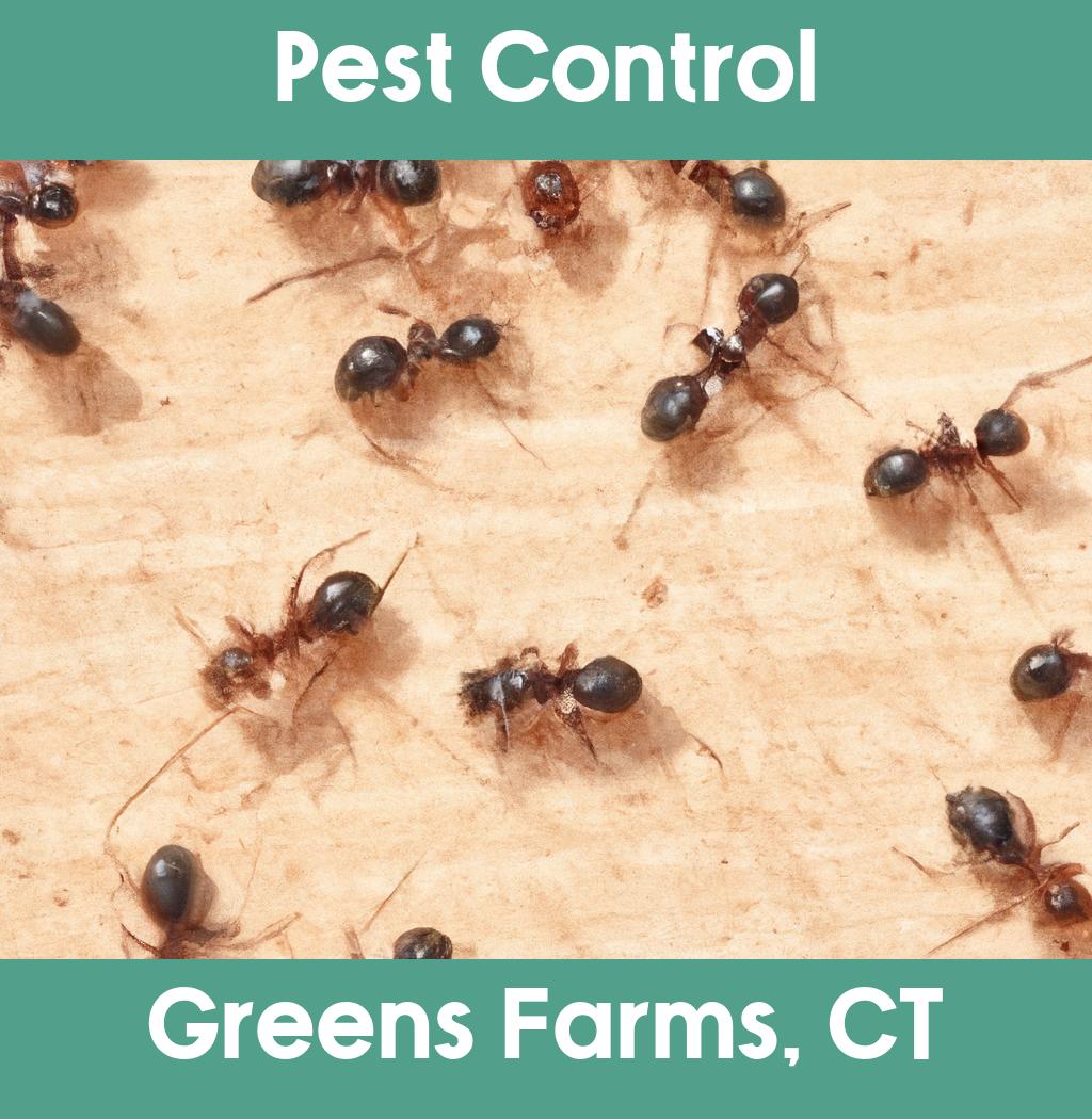 pest control in Greens Farms Connecticut
