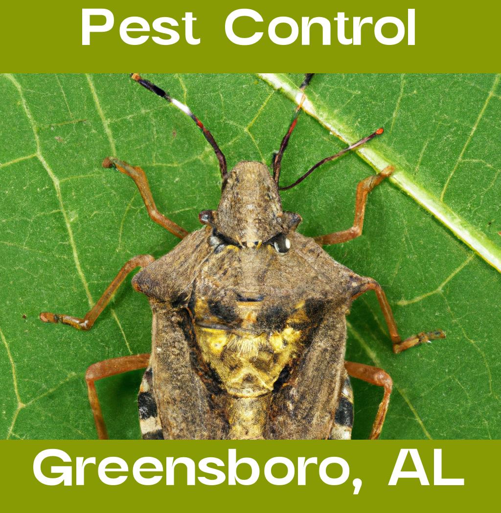 pest control in Greensboro Alabama