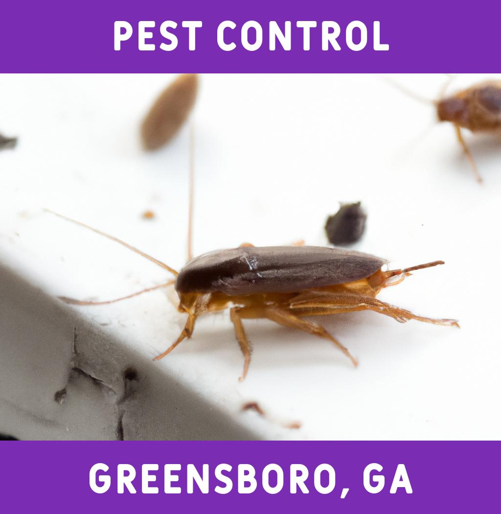 pest control in Greensboro Georgia