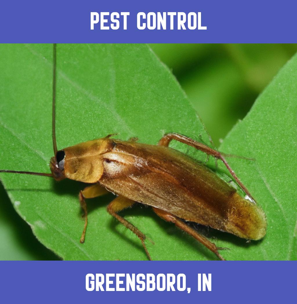 pest control in Greensboro Indiana