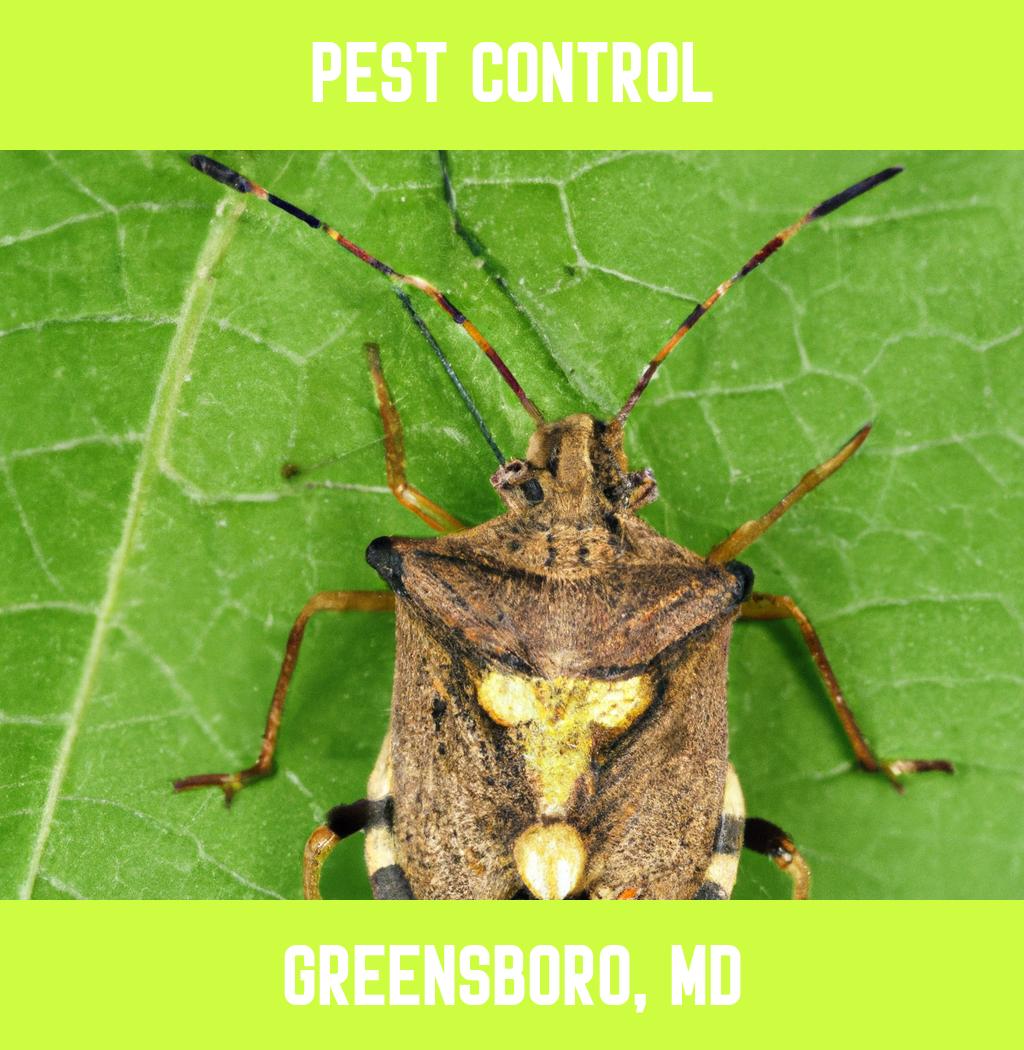 pest control in Greensboro Maryland
