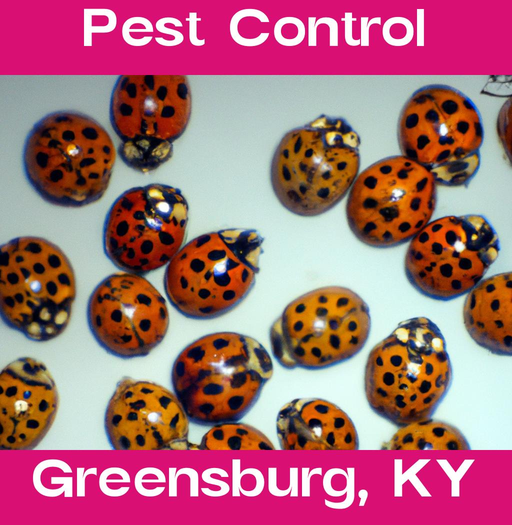 pest control in Greensburg Kentucky