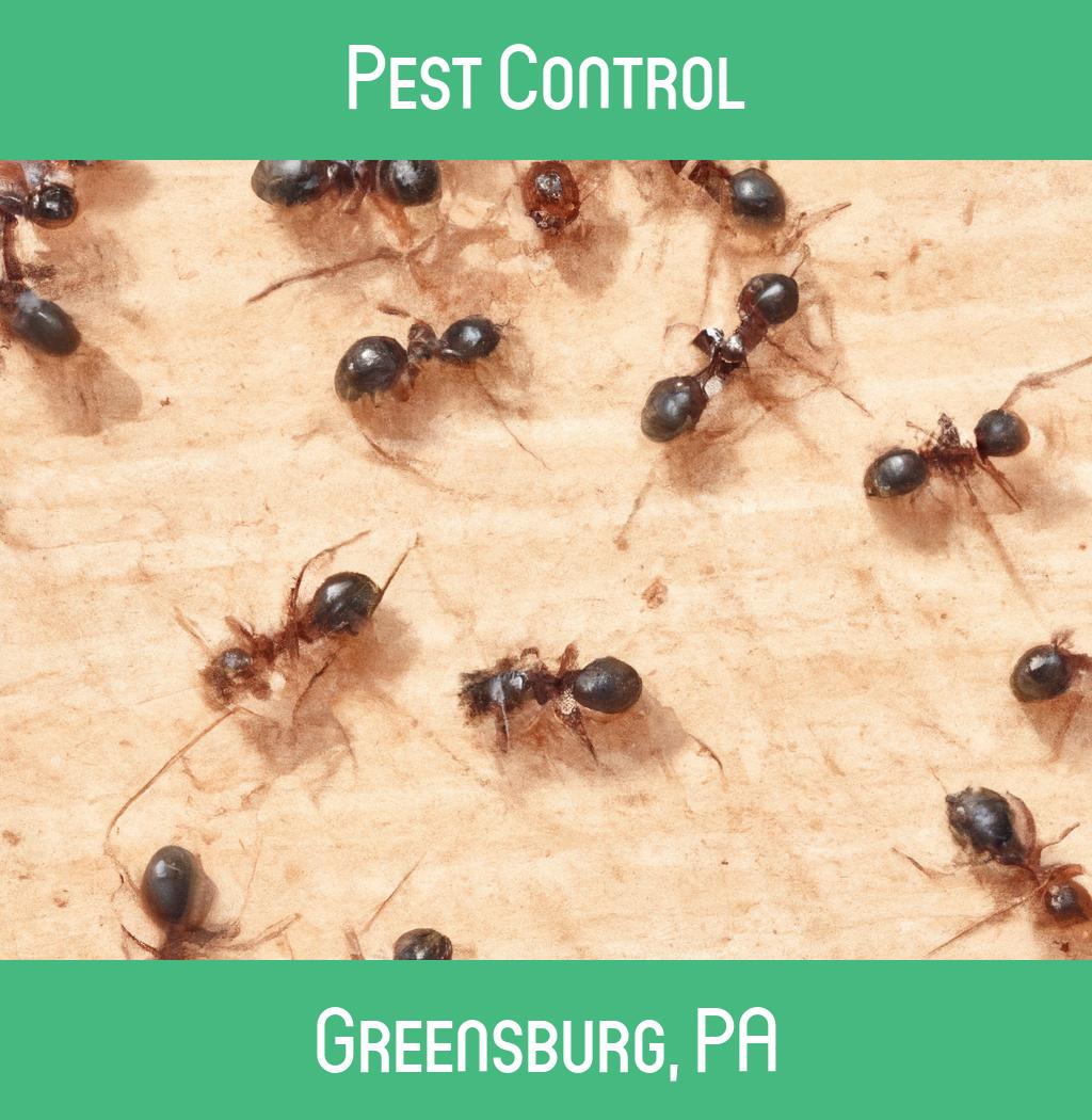 pest control in Greensburg Pennsylvania