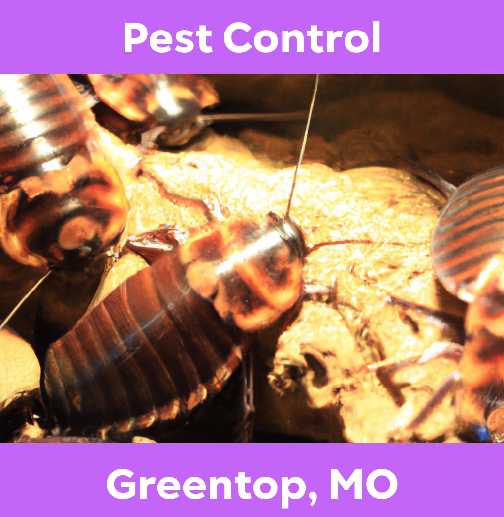 pest control in Greentop Missouri