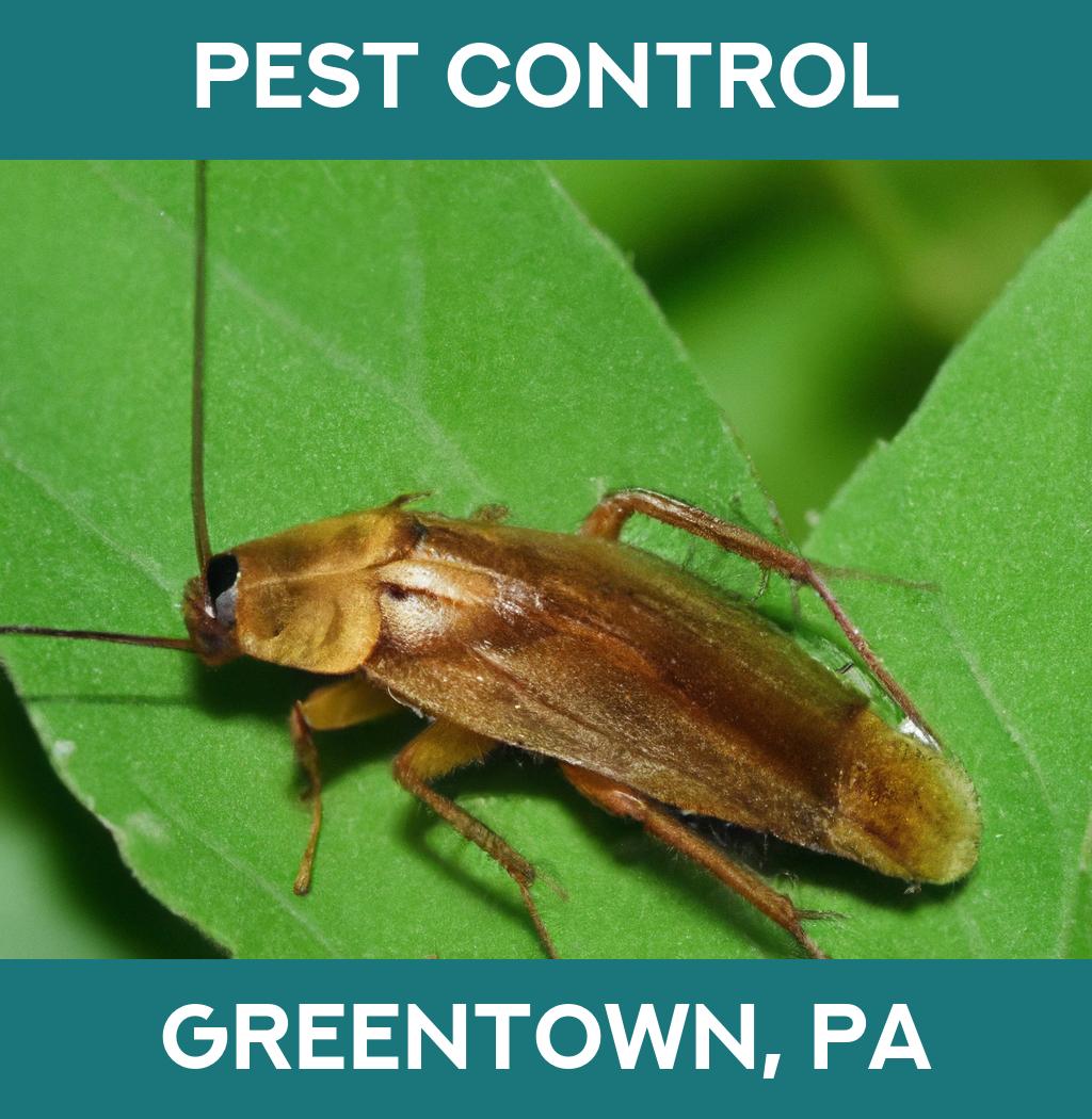 pest control in Greentown Pennsylvania