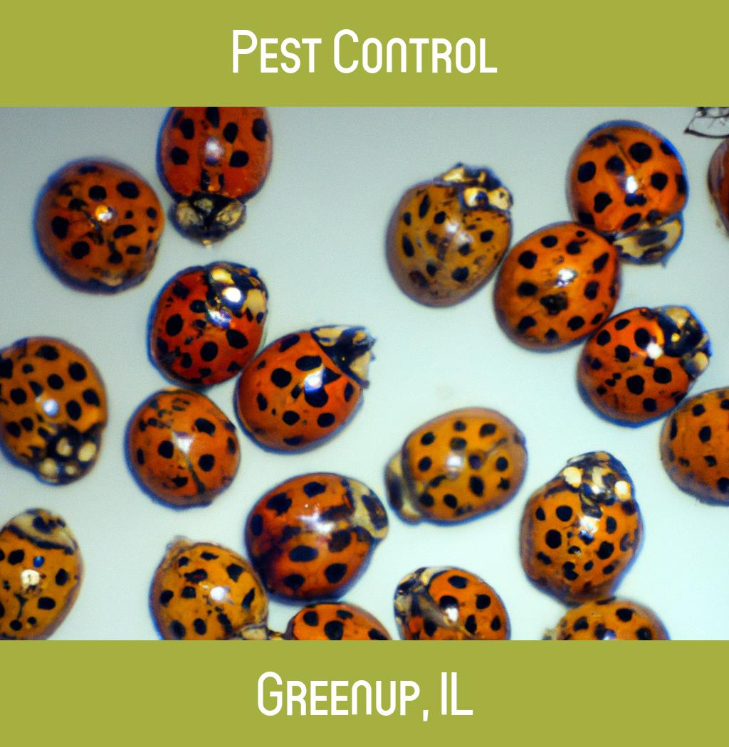 pest control in Greenup Illinois