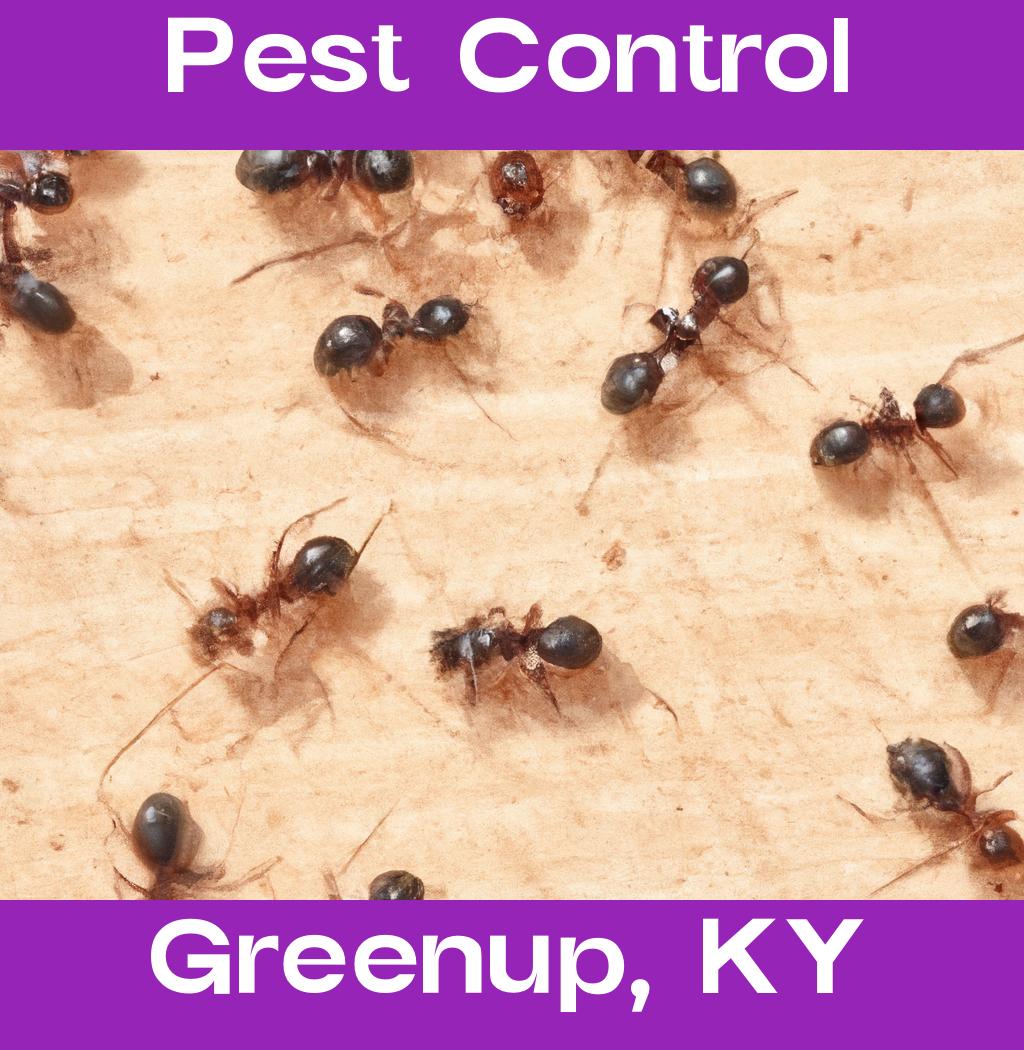 pest control in Greenup Kentucky