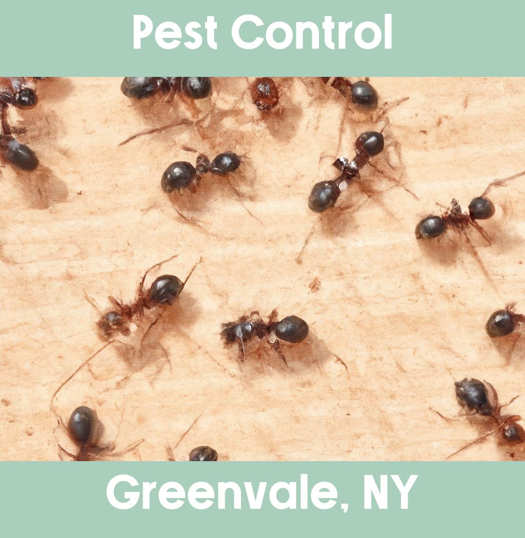 pest control in Greenvale New York