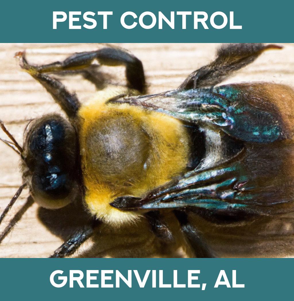 pest control in Greenville Alabama