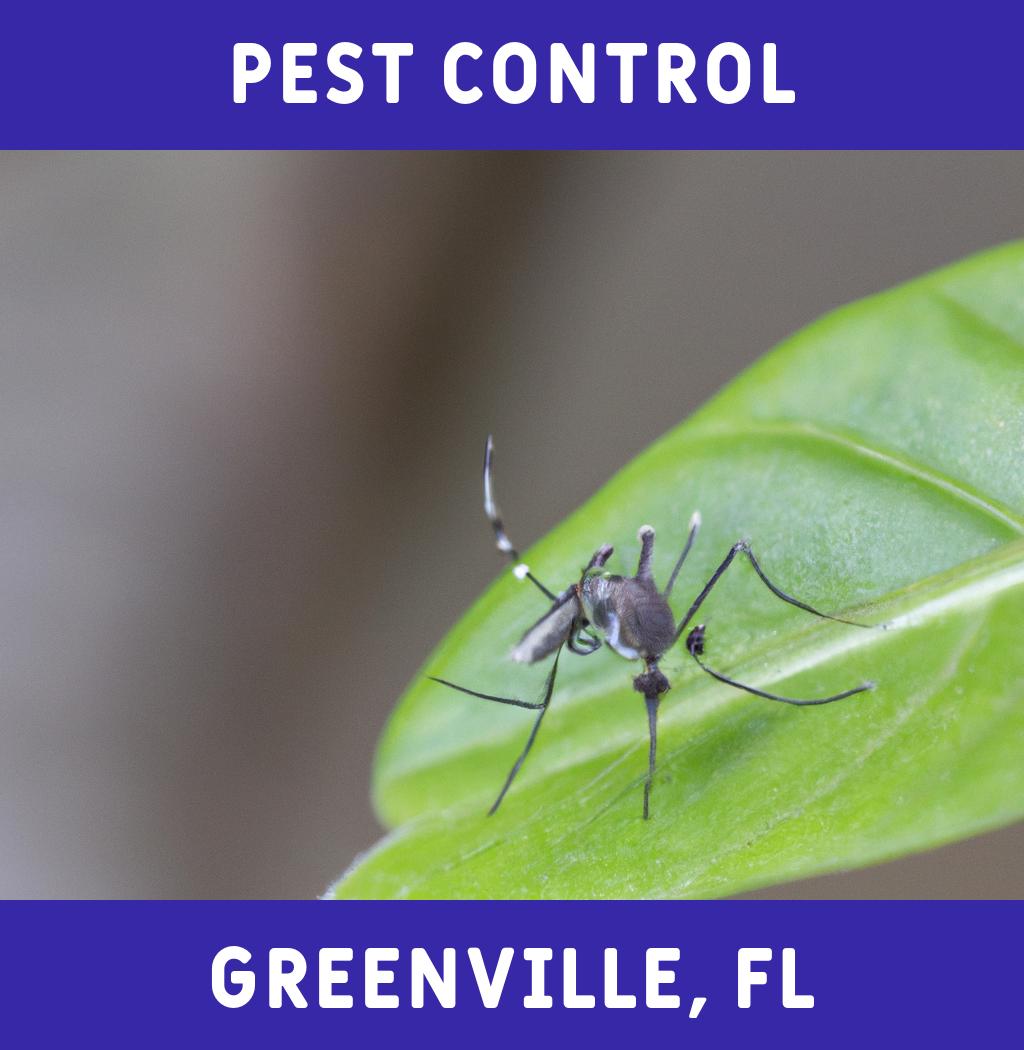 pest control in Greenville Florida