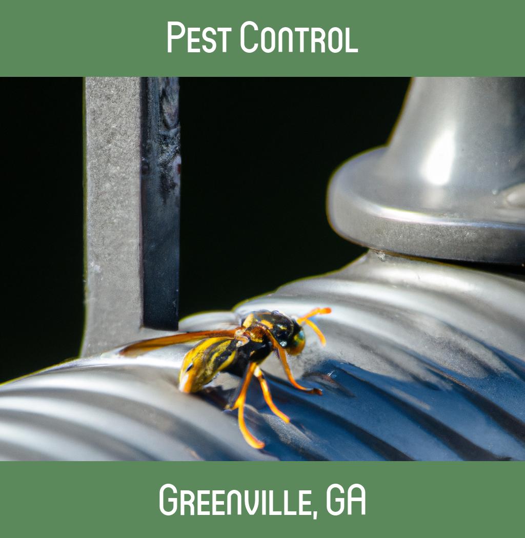 pest control in Greenville Georgia