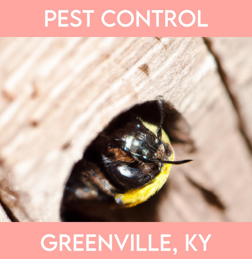 pest control in Greenville Kentucky