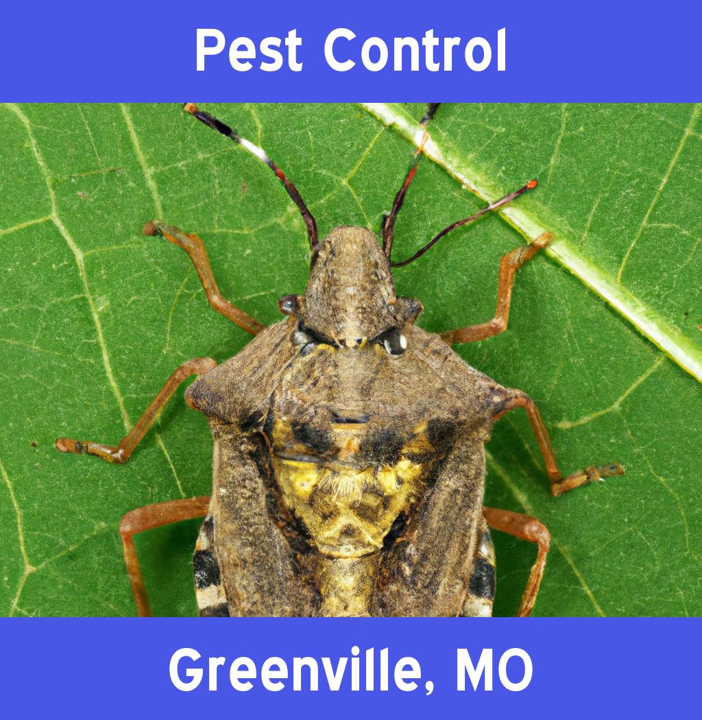 pest control in Greenville Missouri