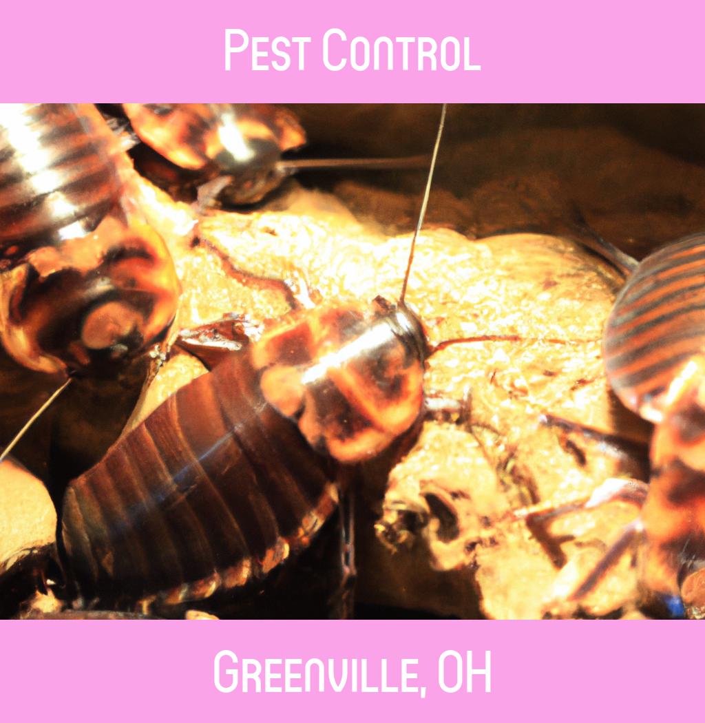 pest control in Greenville Ohio