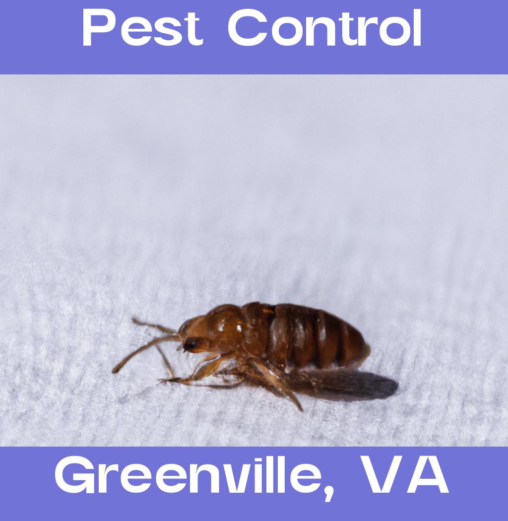 pest control in Greenville Virginia