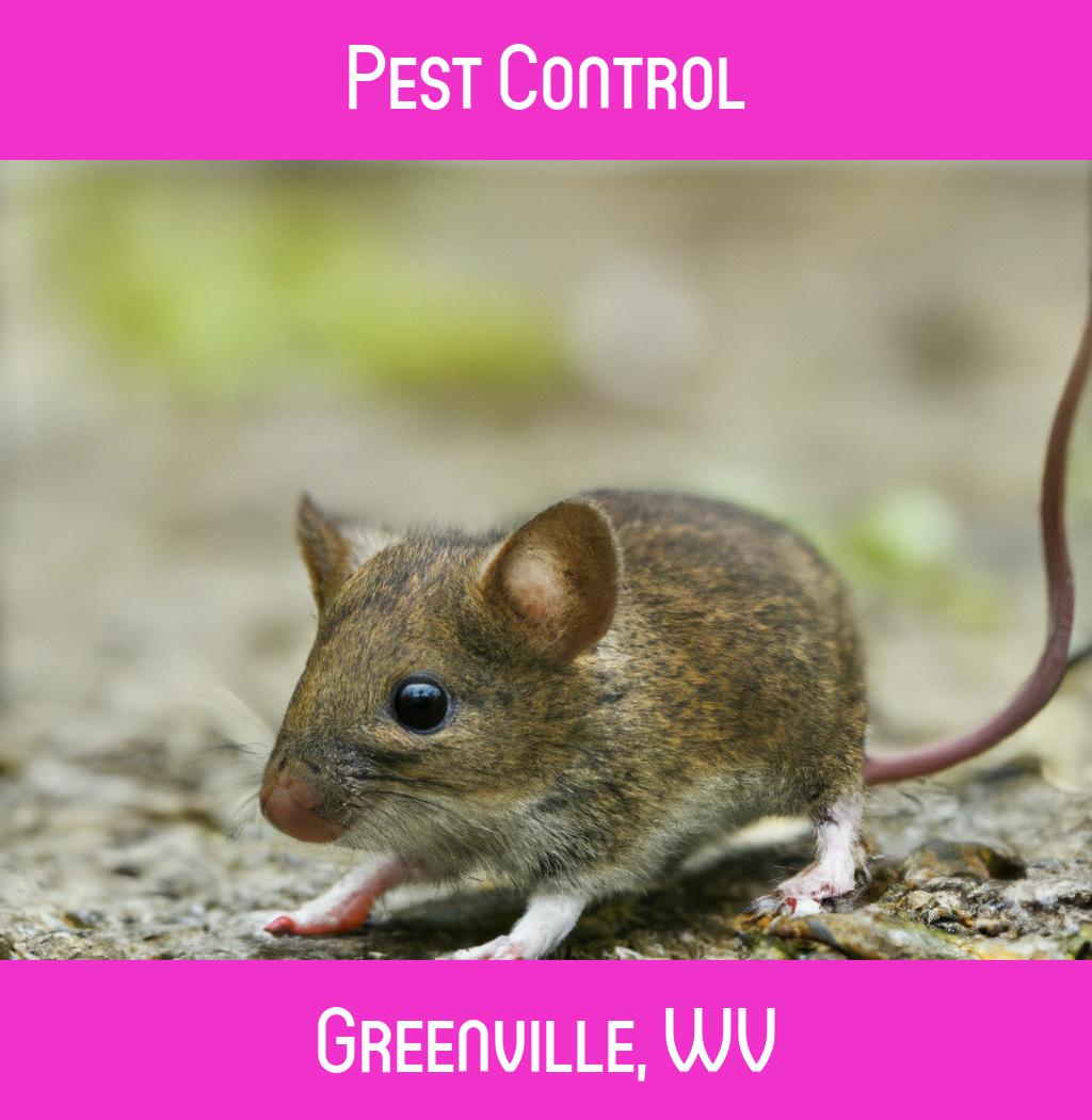pest control in Greenville West Virginia