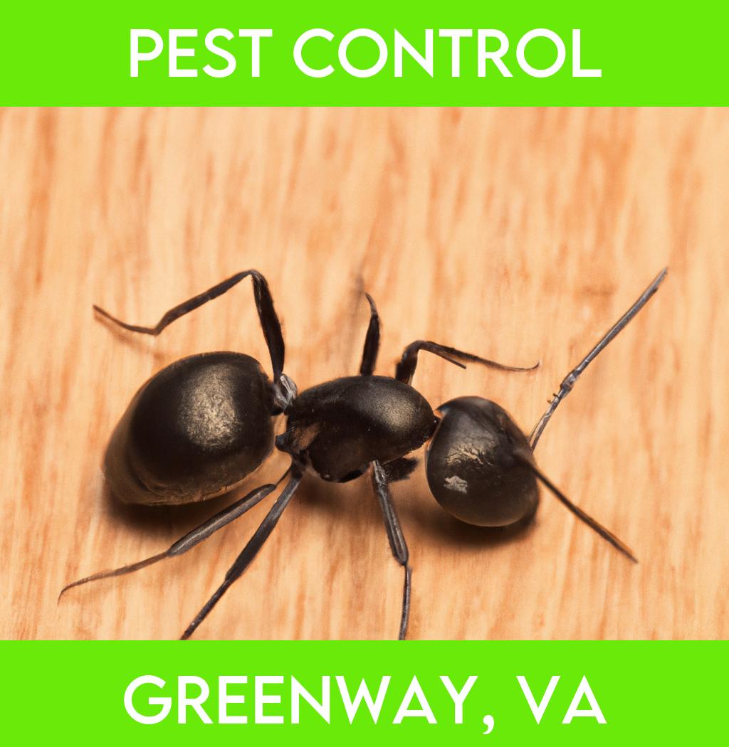pest control in Greenway Virginia