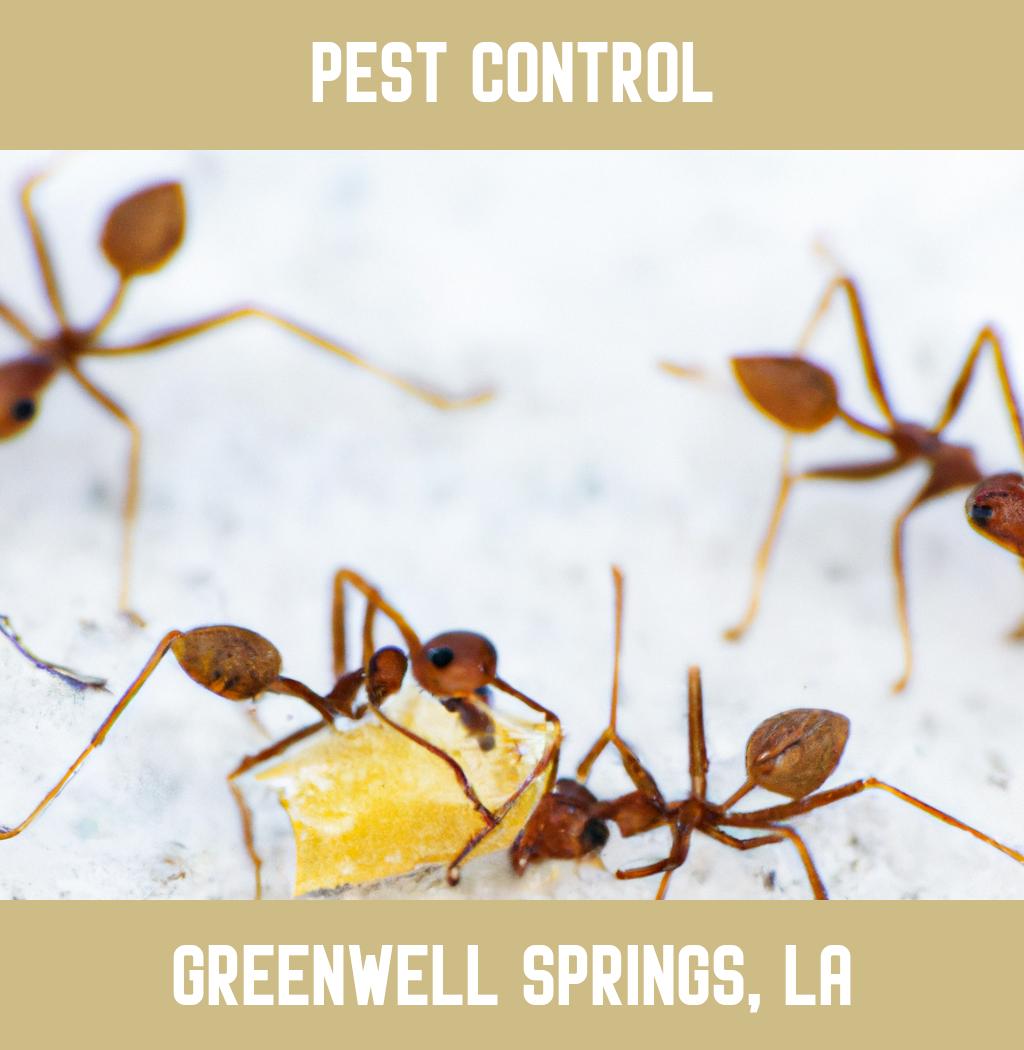 pest control in Greenwell Springs Louisiana
