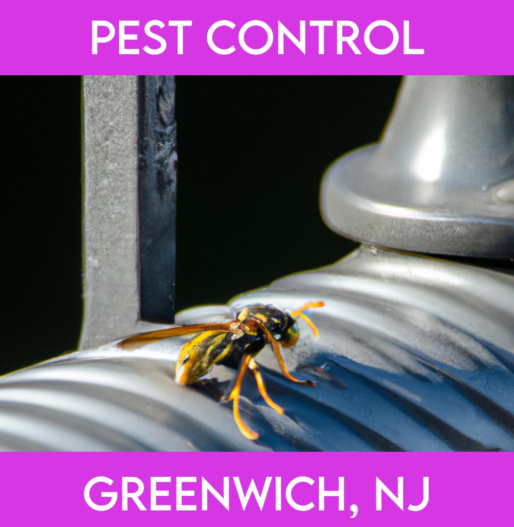 pest control in Greenwich New Jersey