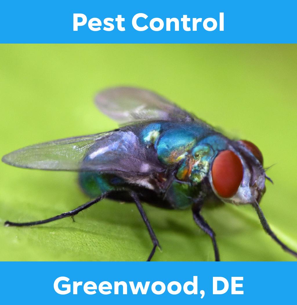 pest control in Greenwood Delaware