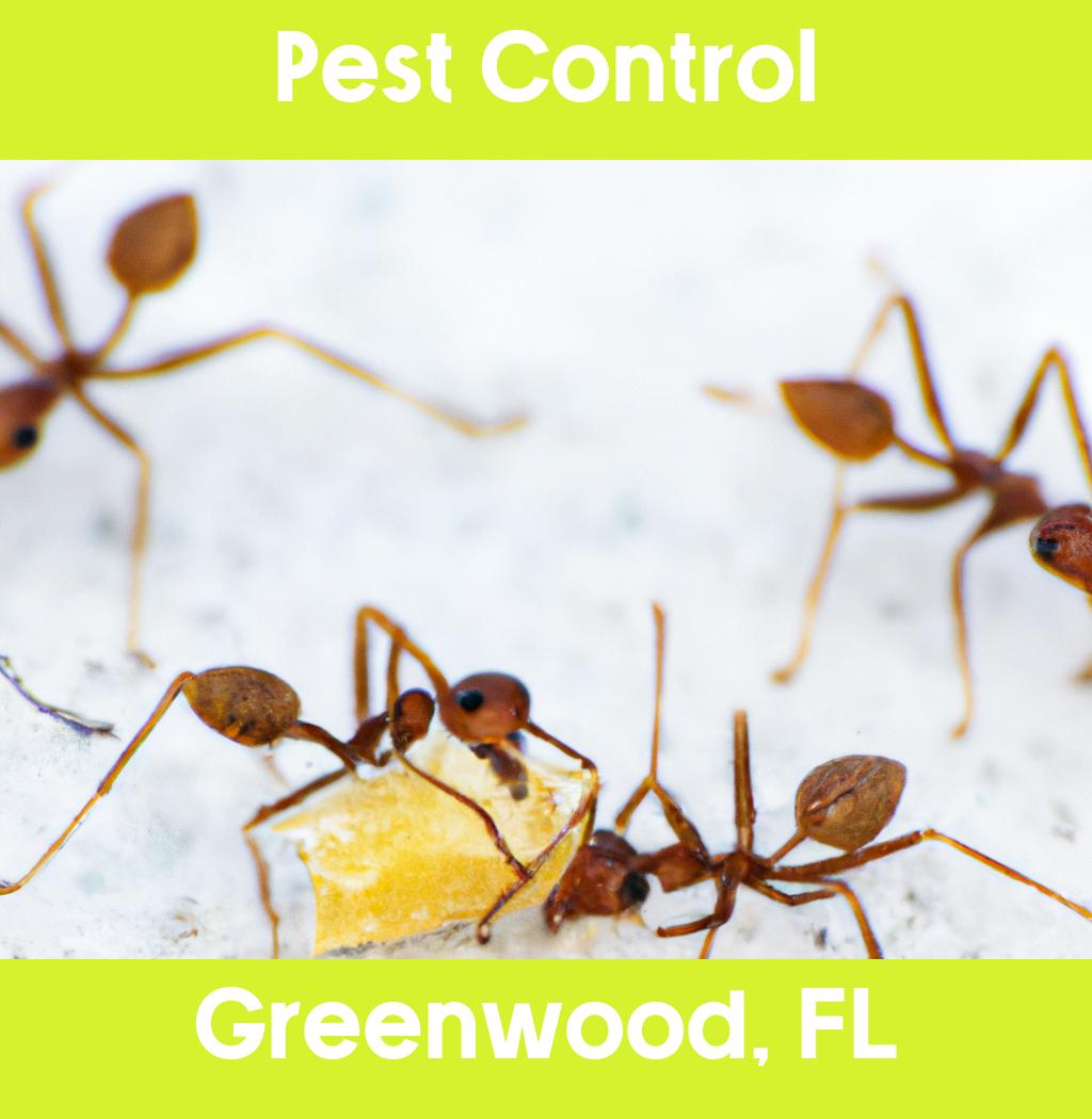 pest control in Greenwood Florida