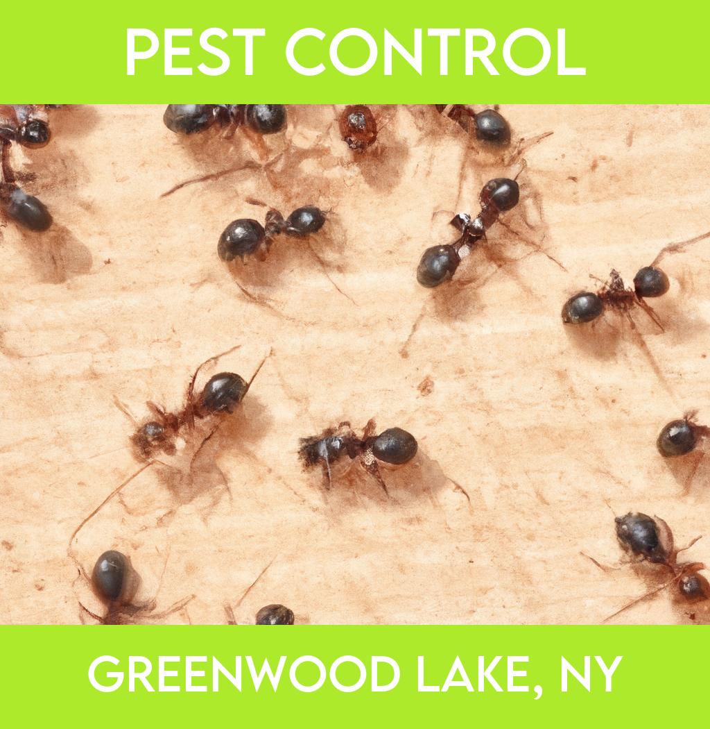 pest control in Greenwood Lake New York