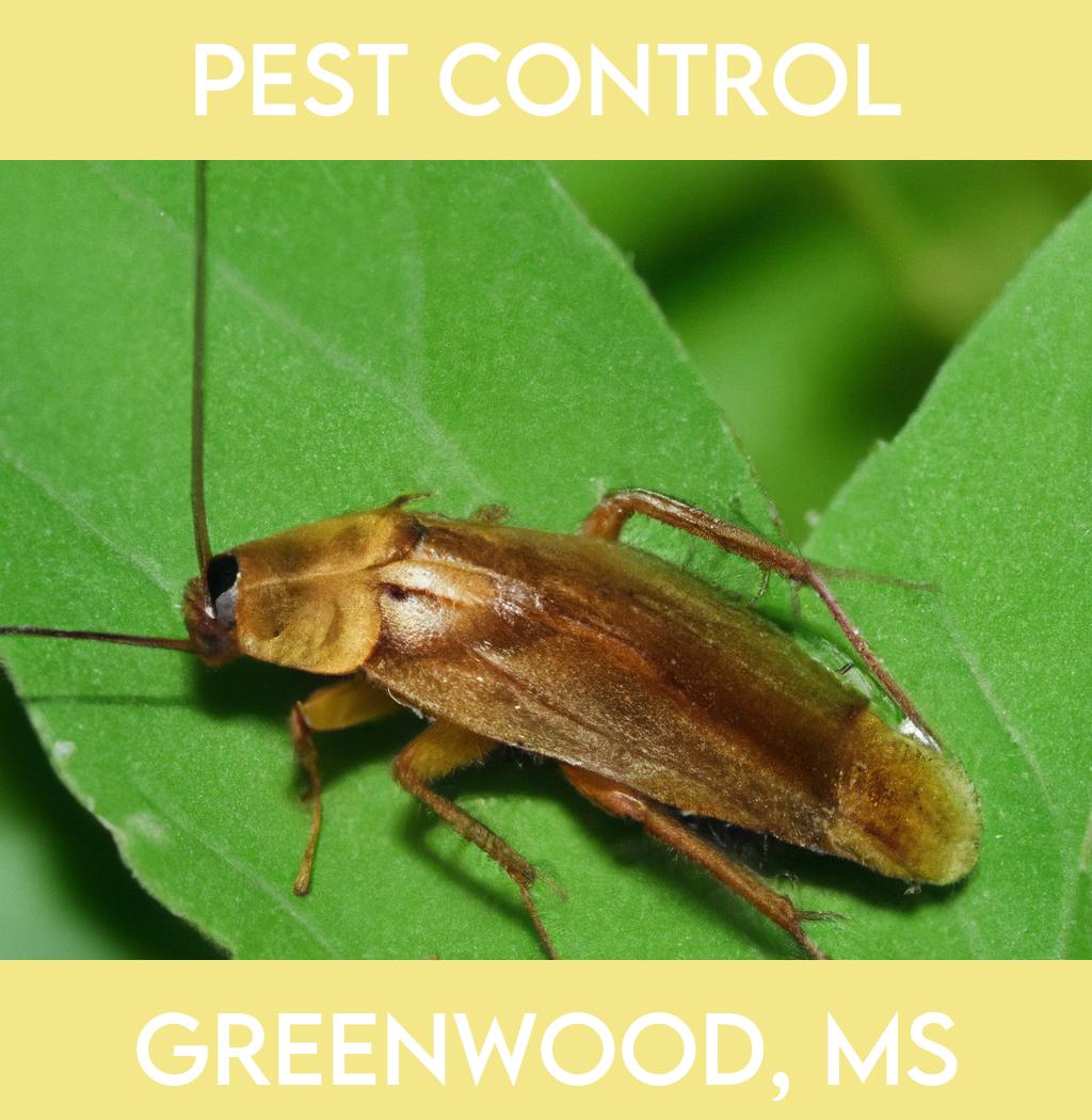 pest control in Greenwood Mississippi
