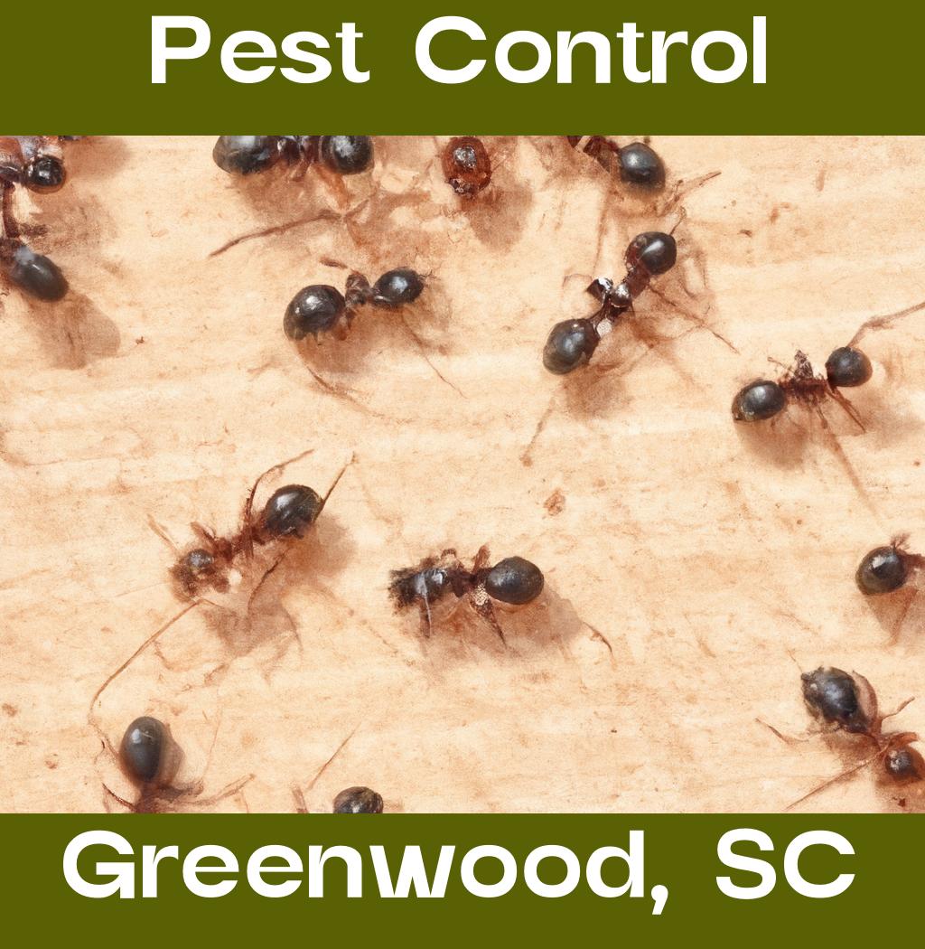 pest control in Greenwood South Carolina