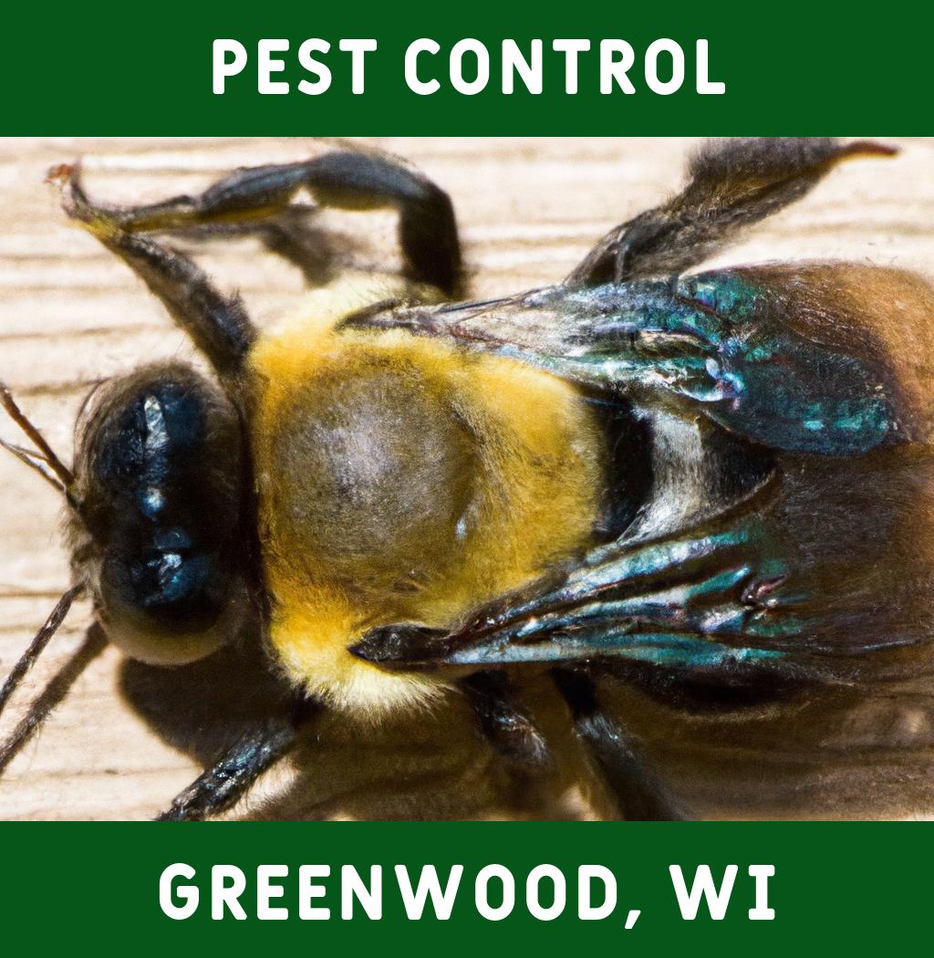 pest control in Greenwood Wisconsin