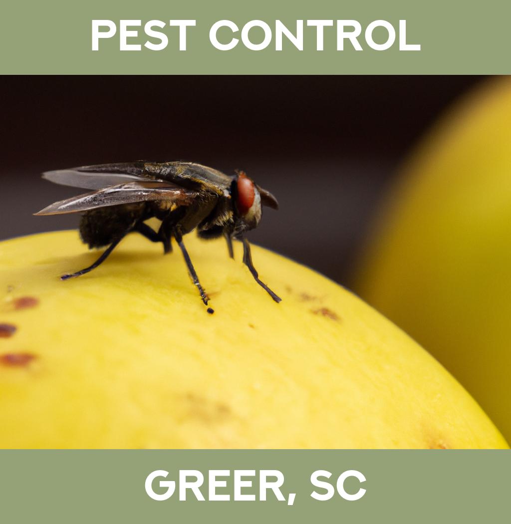 pest control in Greer South Carolina
