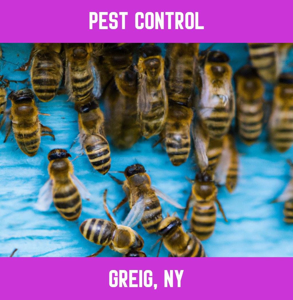 pest control in Greig New York