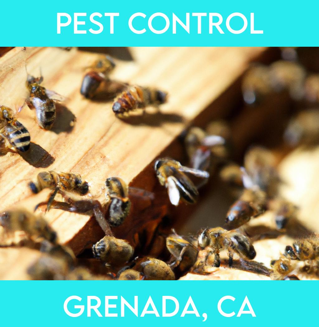 pest control in Grenada California