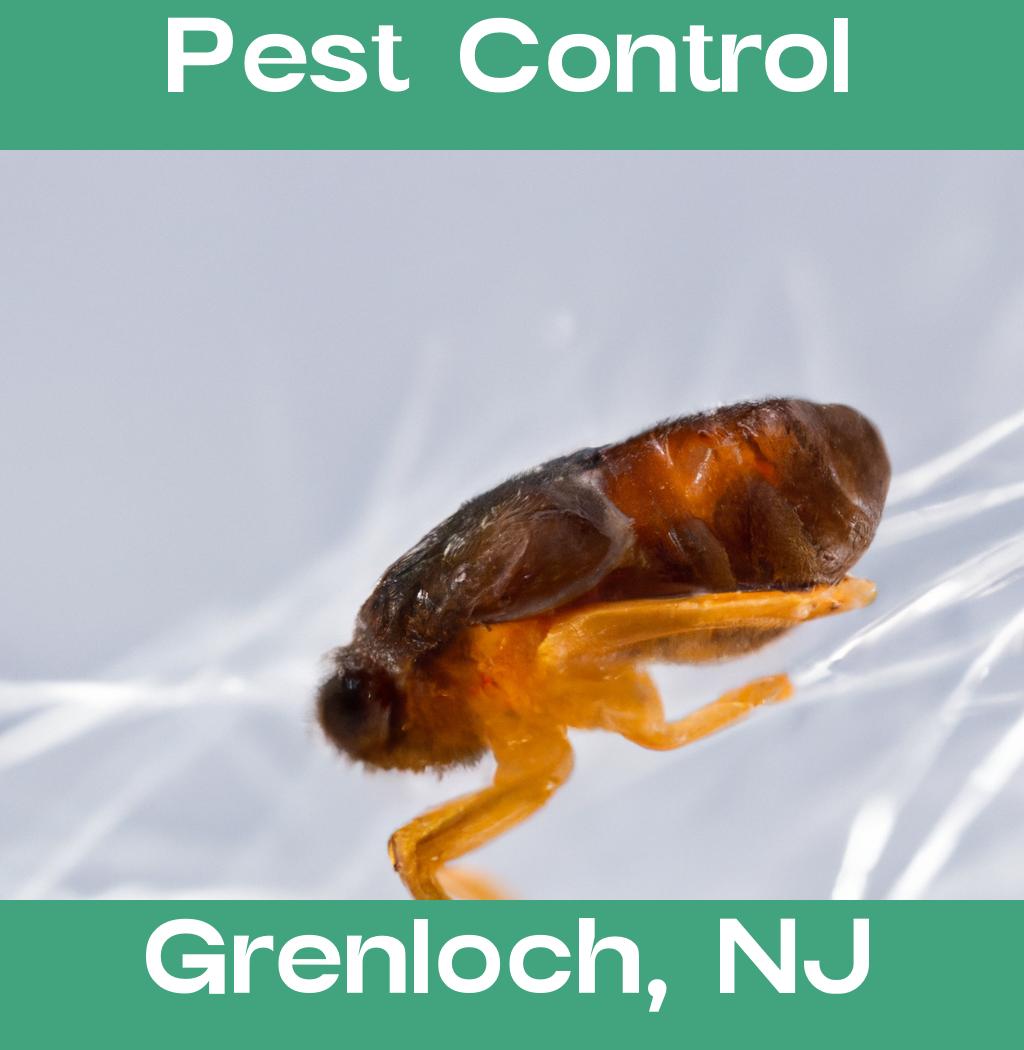 pest control in Grenloch New Jersey