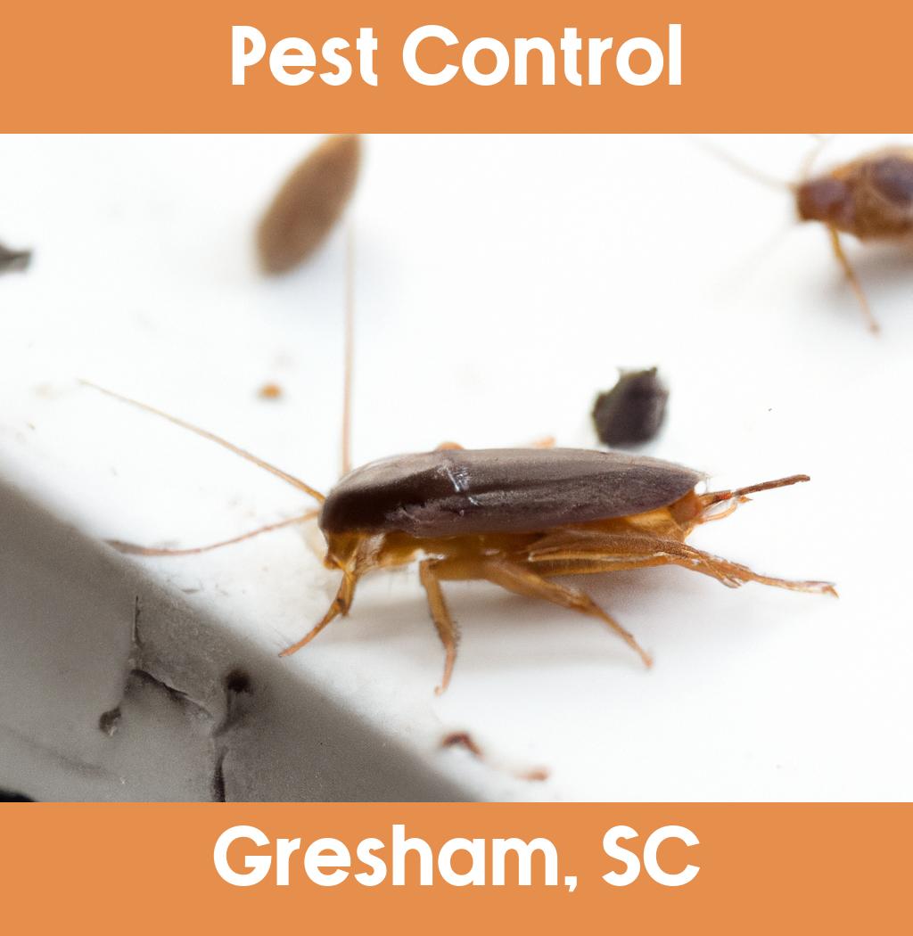 pest control in Gresham South Carolina