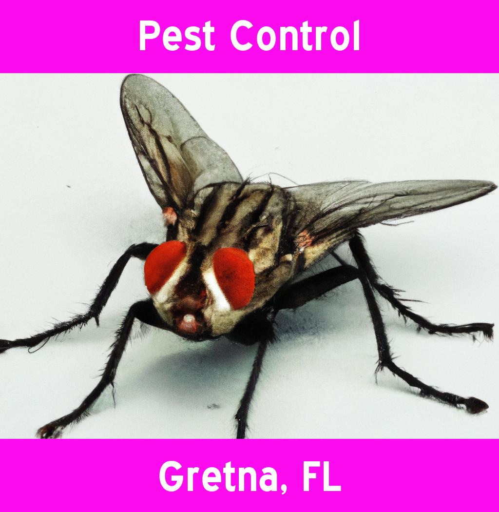 pest control in Gretna Florida