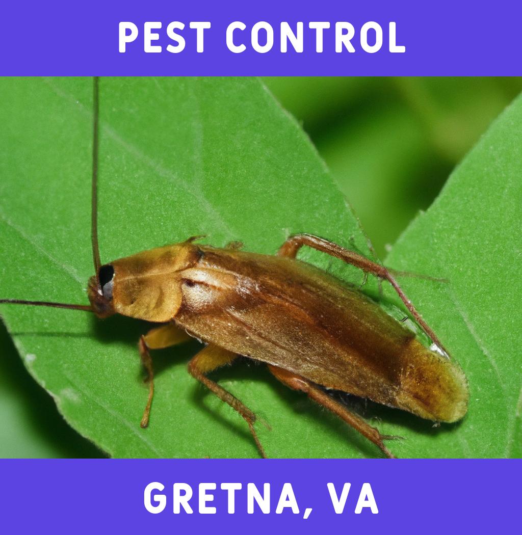 pest control in Gretna Virginia