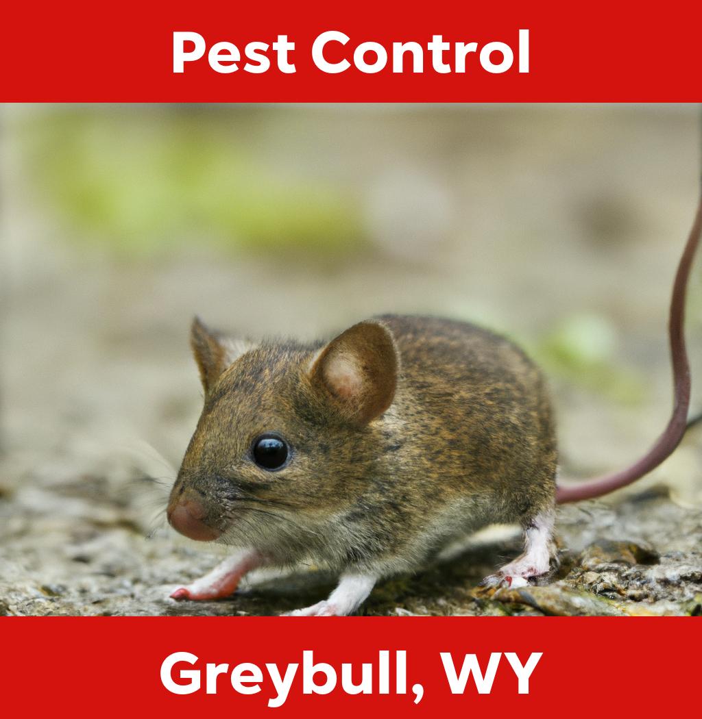 pest control in Greybull Wyoming