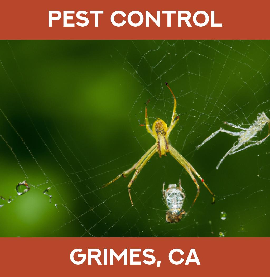 pest control in Grimes California