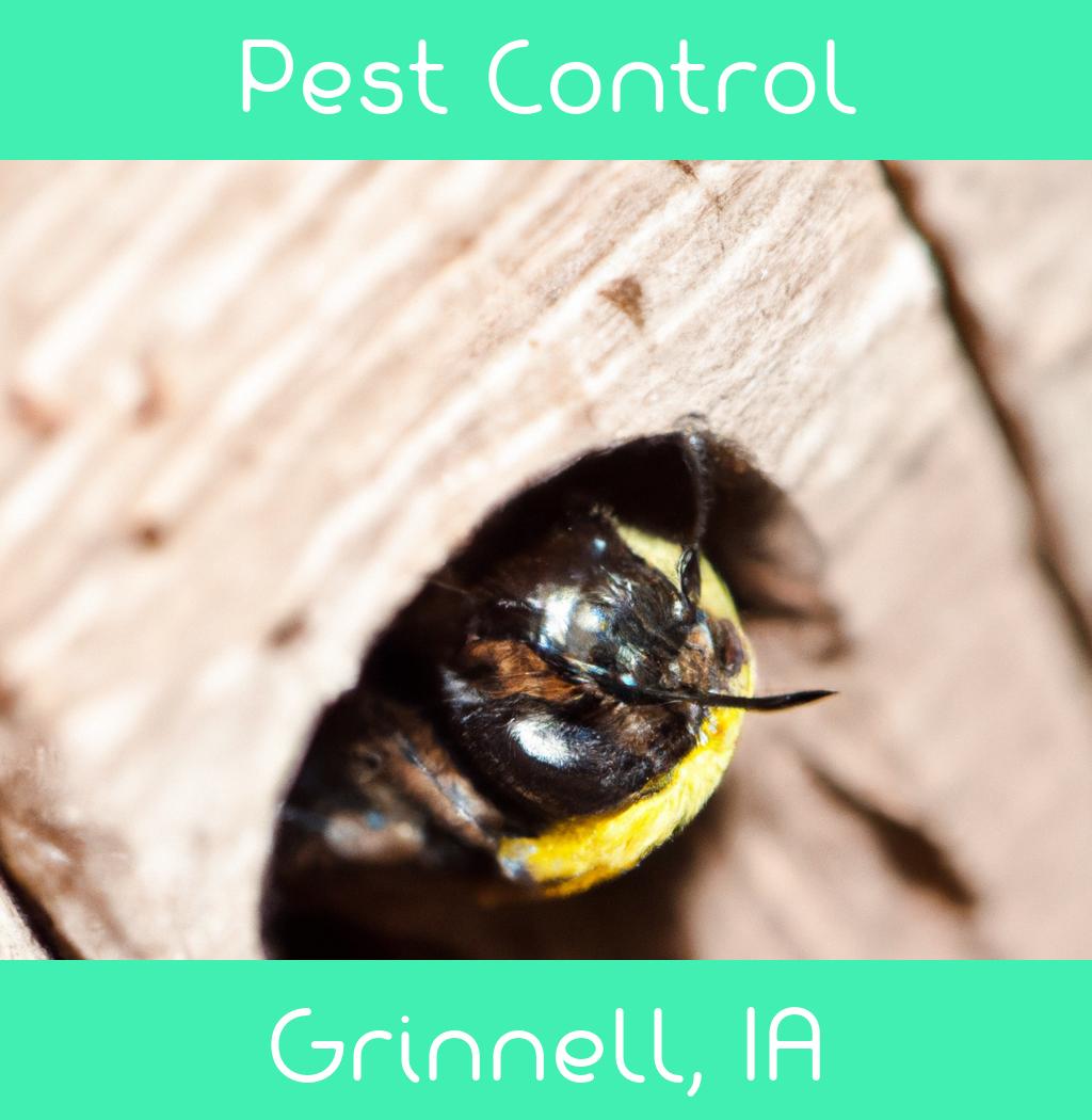 pest control in Grinnell Iowa