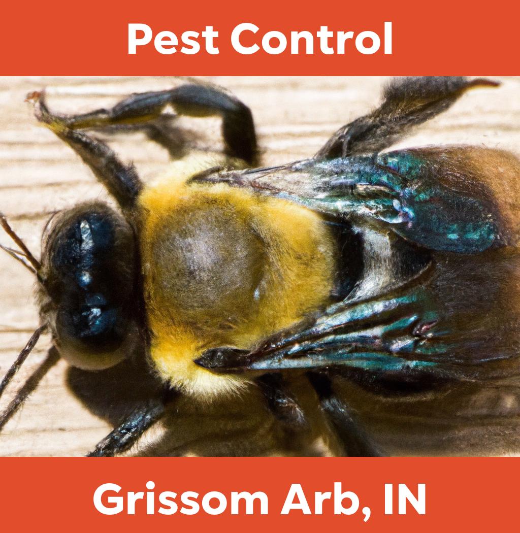 pest control in Grissom Arb Indiana