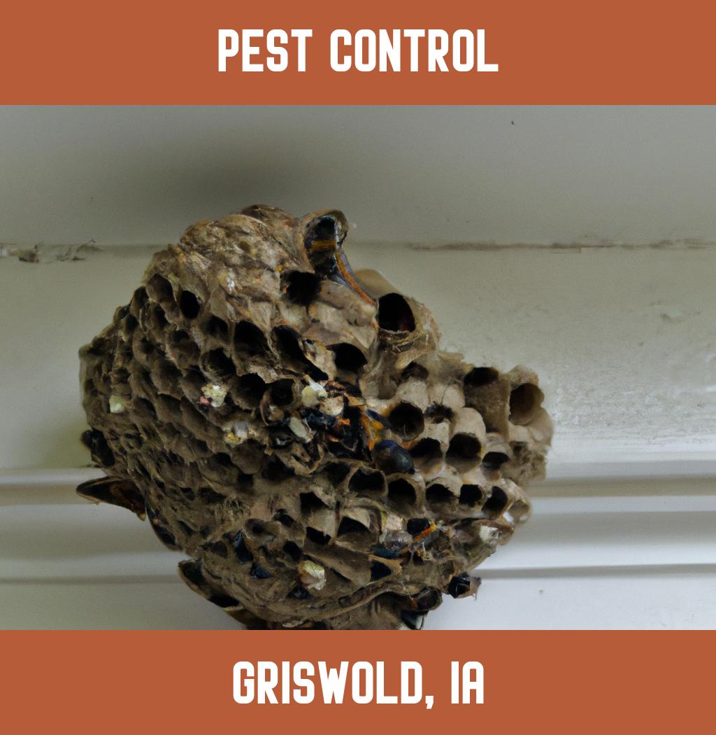 pest control in Griswold Iowa