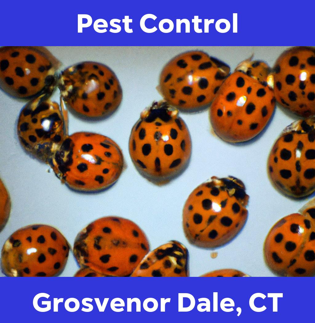 pest control in Grosvenor Dale Connecticut