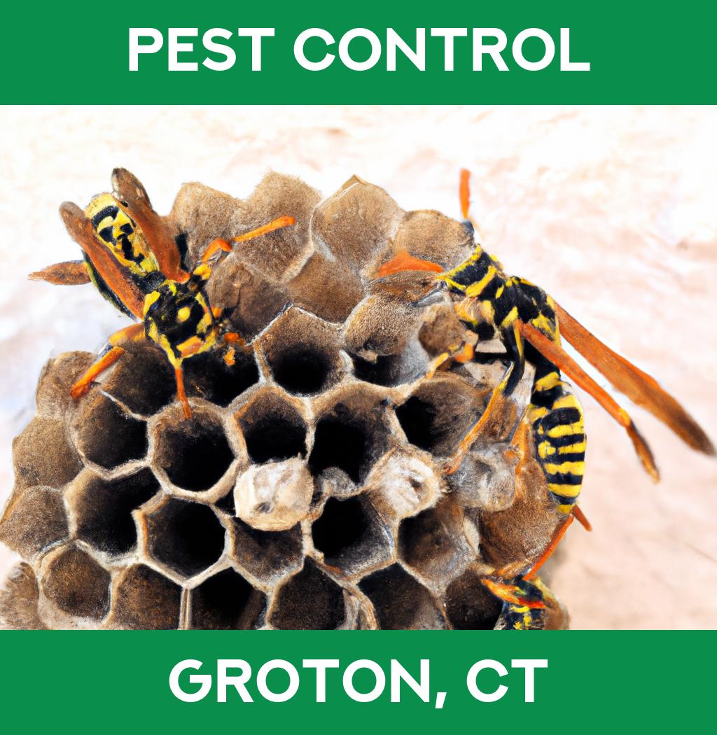 pest control in Groton Connecticut
